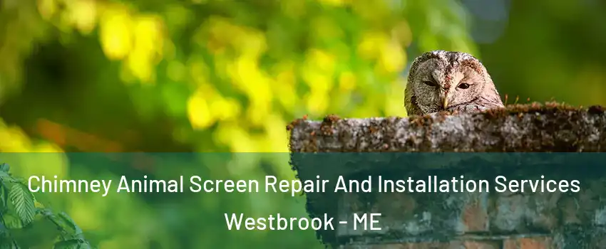  Chimney Animal Screen Repair And Installation Services Westbrook - ME